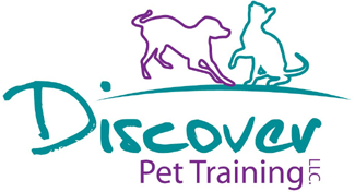Discover-Pet-Training2-e1578930704940